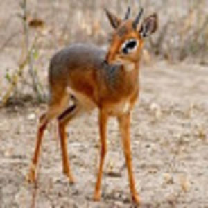 Meet your Posher, Janelle